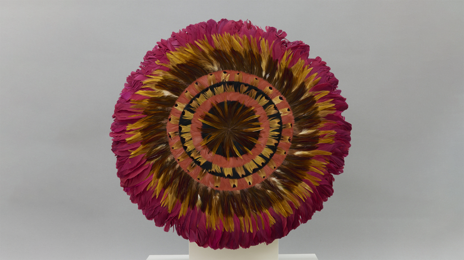Photo of concentric circles of colorful feathers on a Hawaiian hula instrument.