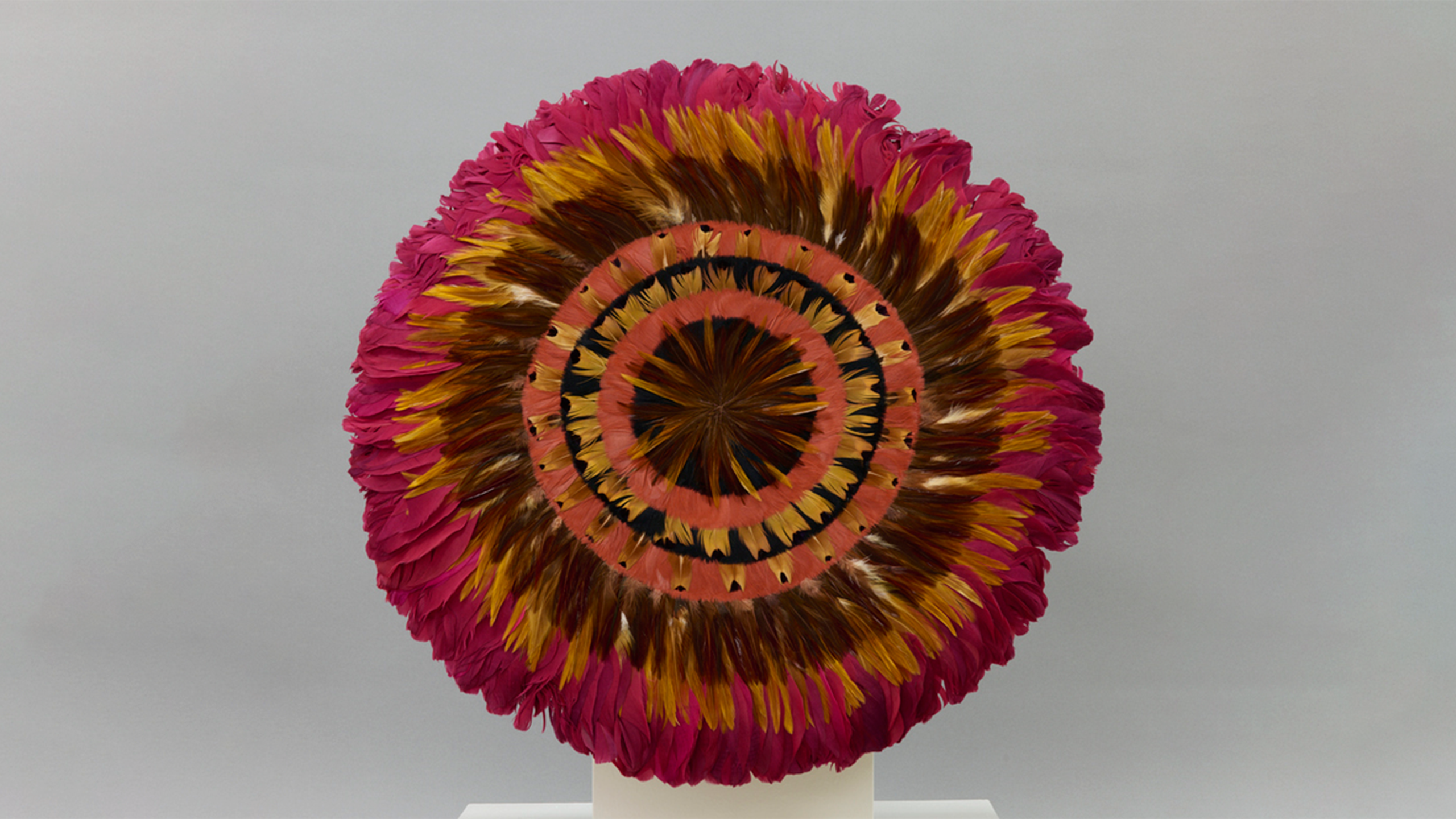 Photo of concentric circles of colorful feathers on a Hawaiian hula instrument.