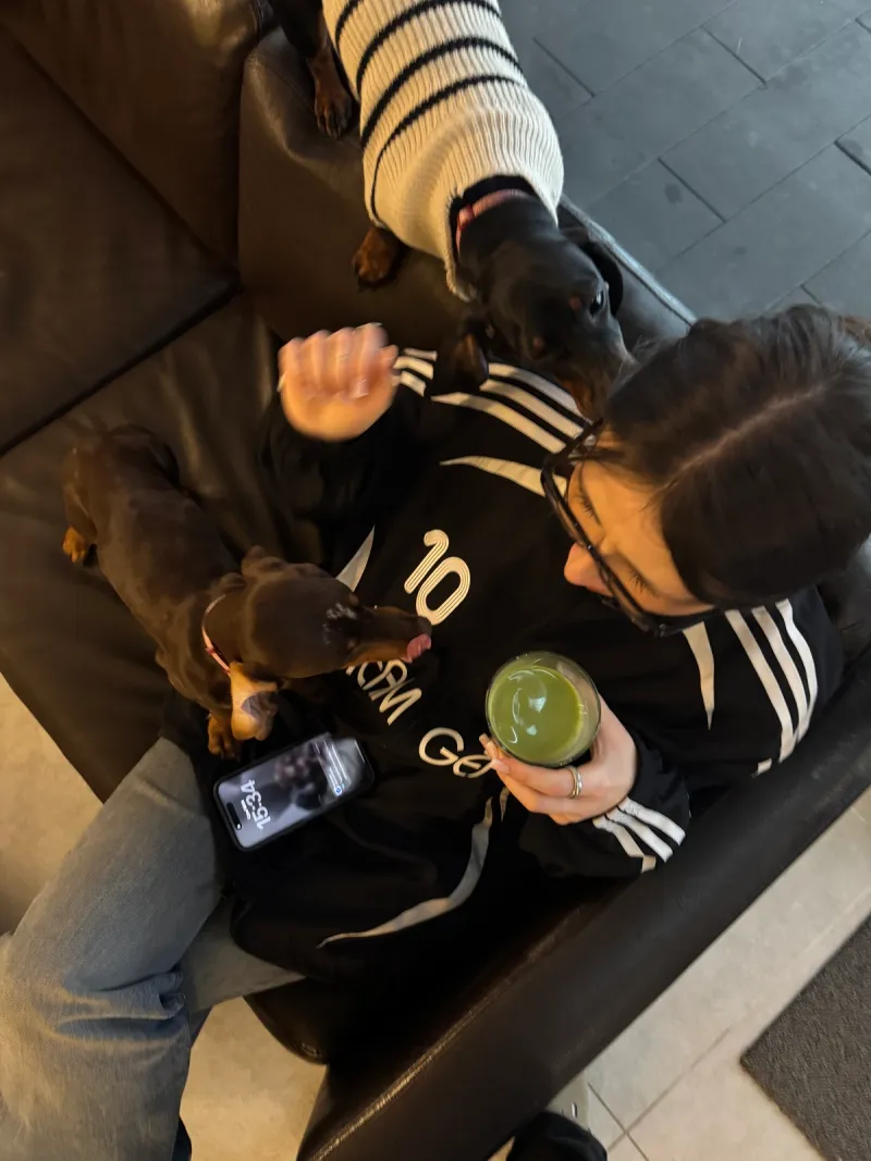Matcha 