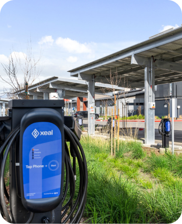 Xeal Charger in grass