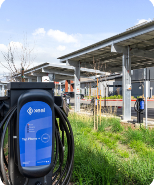 Xeal Charger in grass