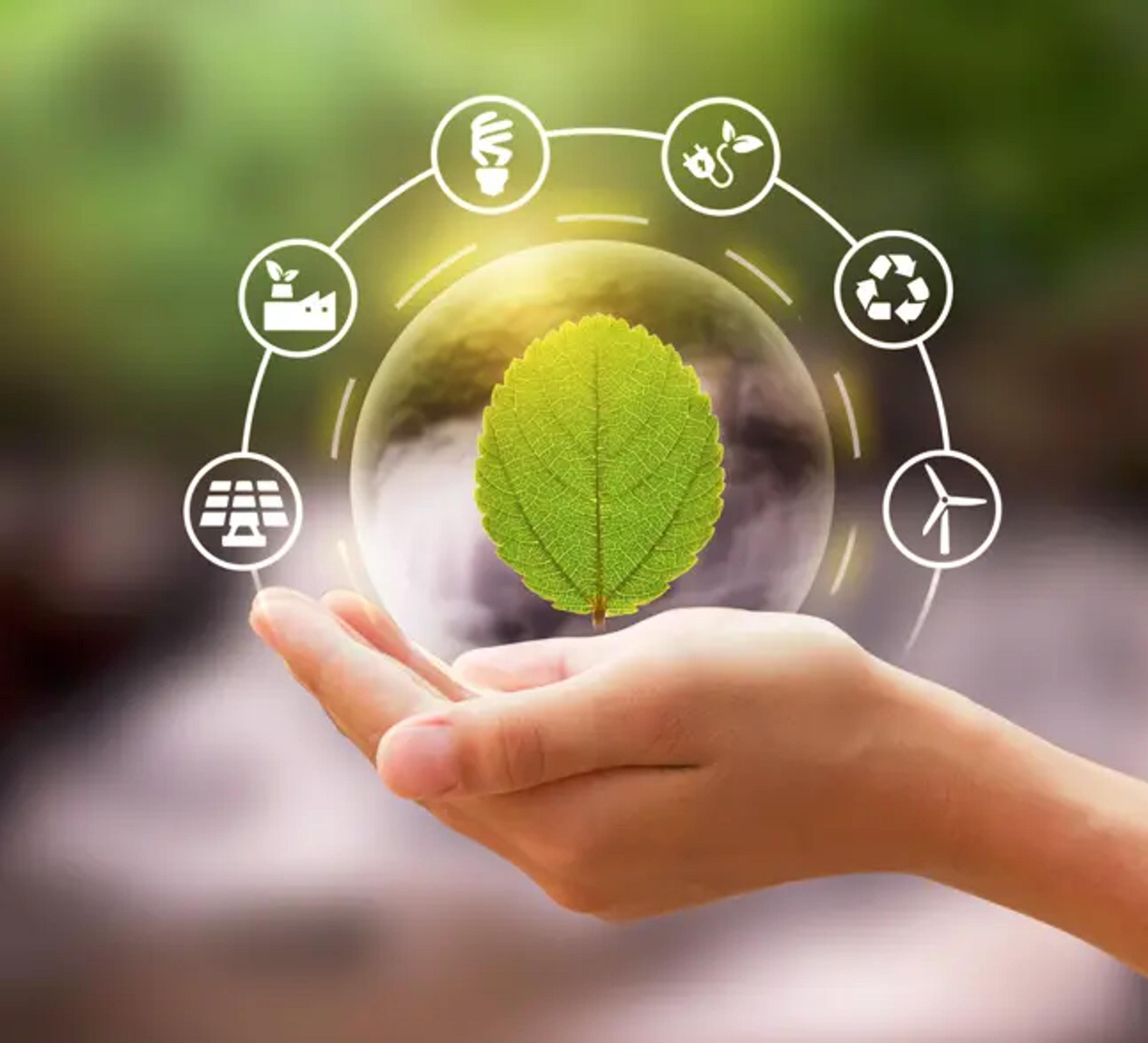 a person is holding a green leaf in their hand surrounded by environmental icons .