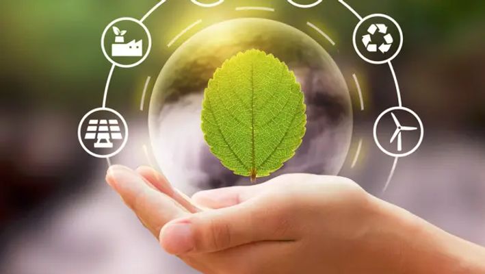 a person is holding a green leaf in their hand surrounded by environmental icons .