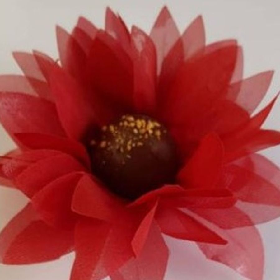 Forminha Margarida Grande de tecido, foto do catálogo