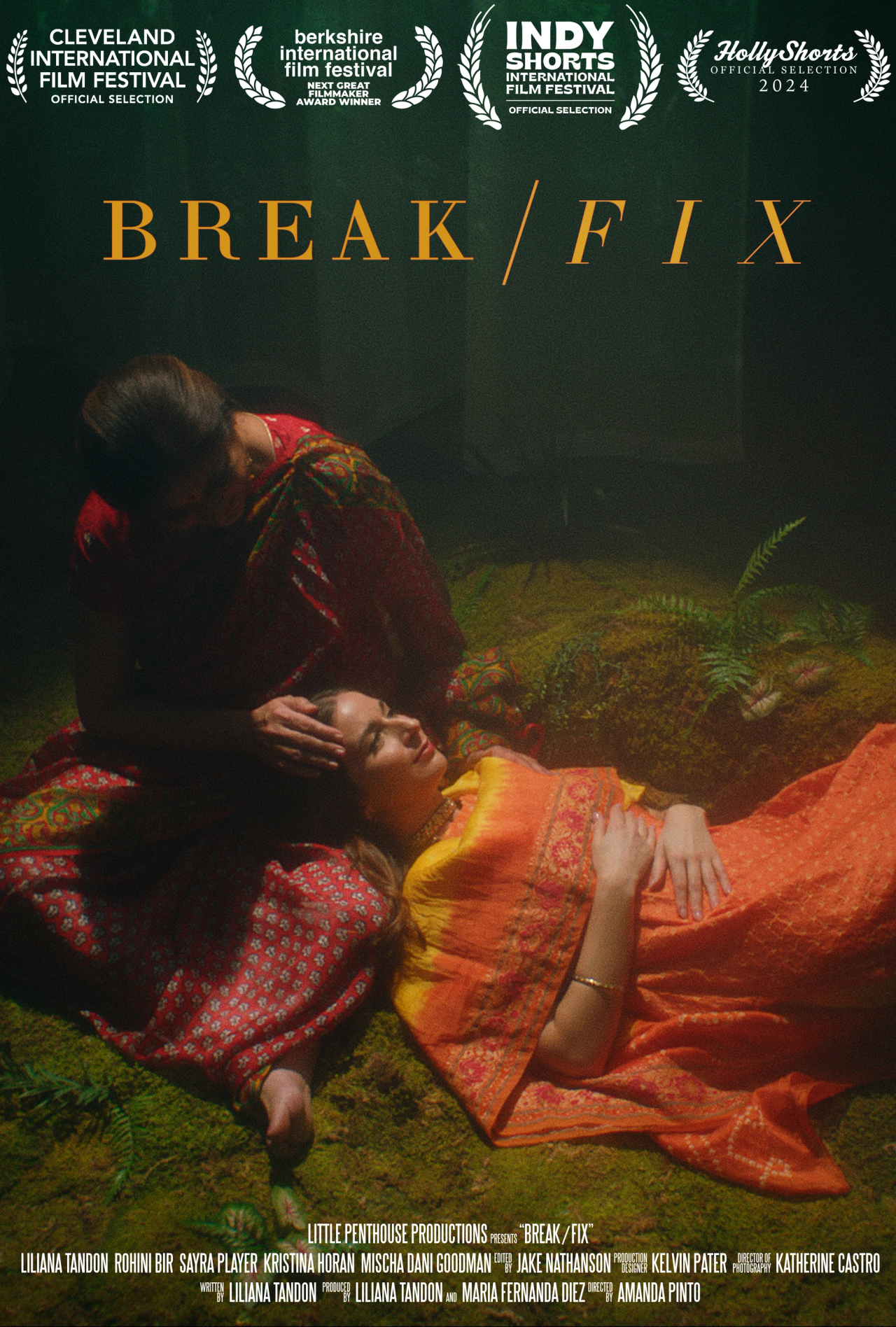 Break/Fix image