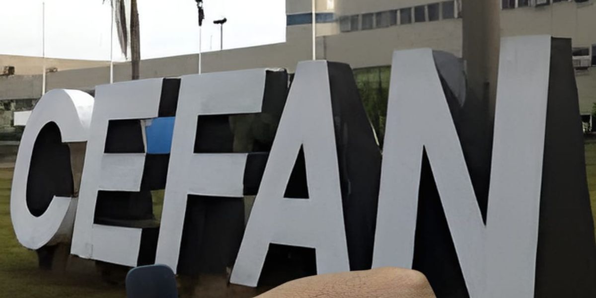 Reunião Estratégica CEFAN