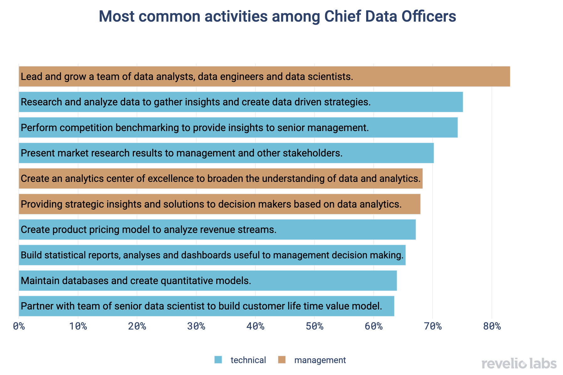 Most Common activities among Chief Data Officers