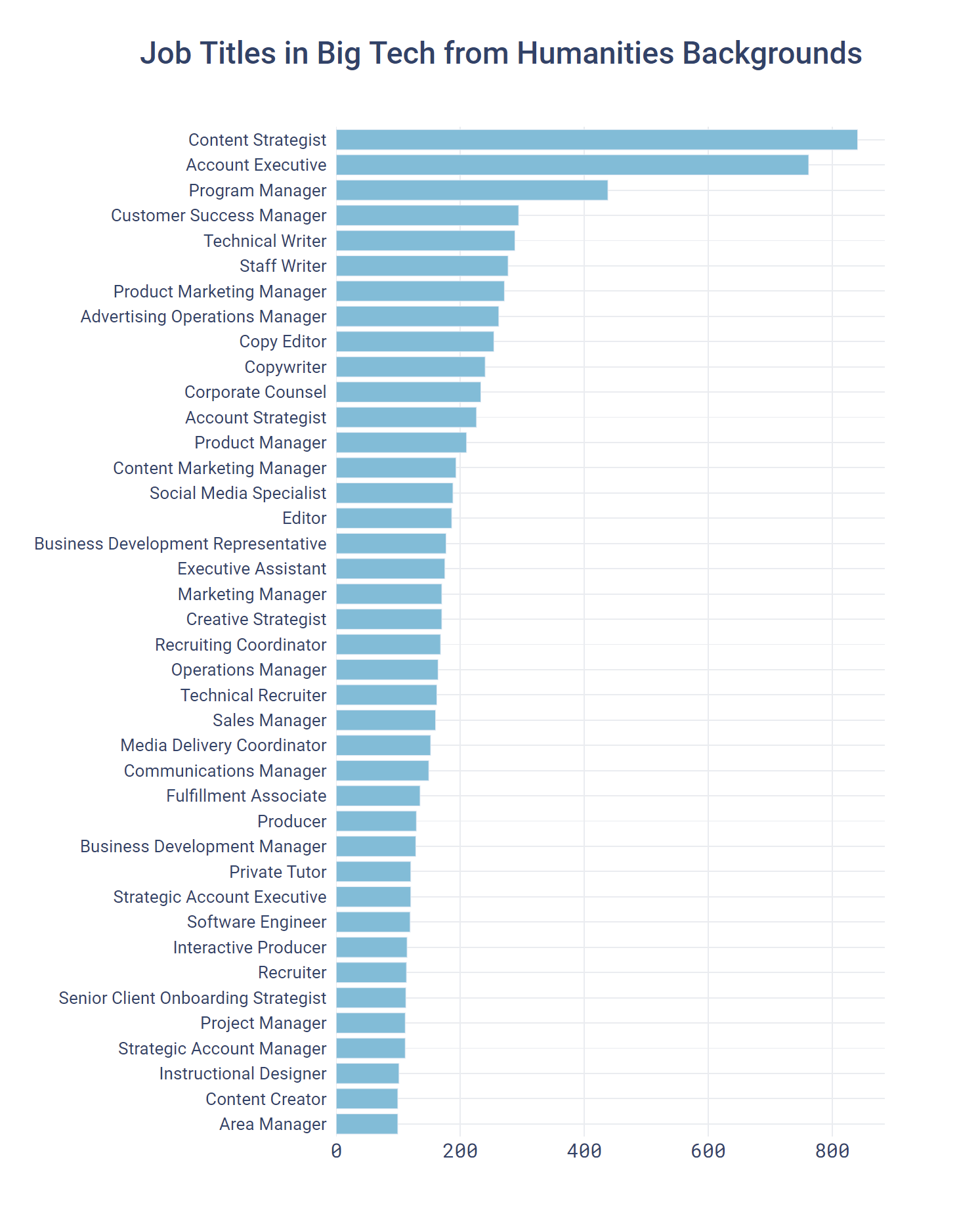 Job Titles in Big Tech from Humanities Backgrounds