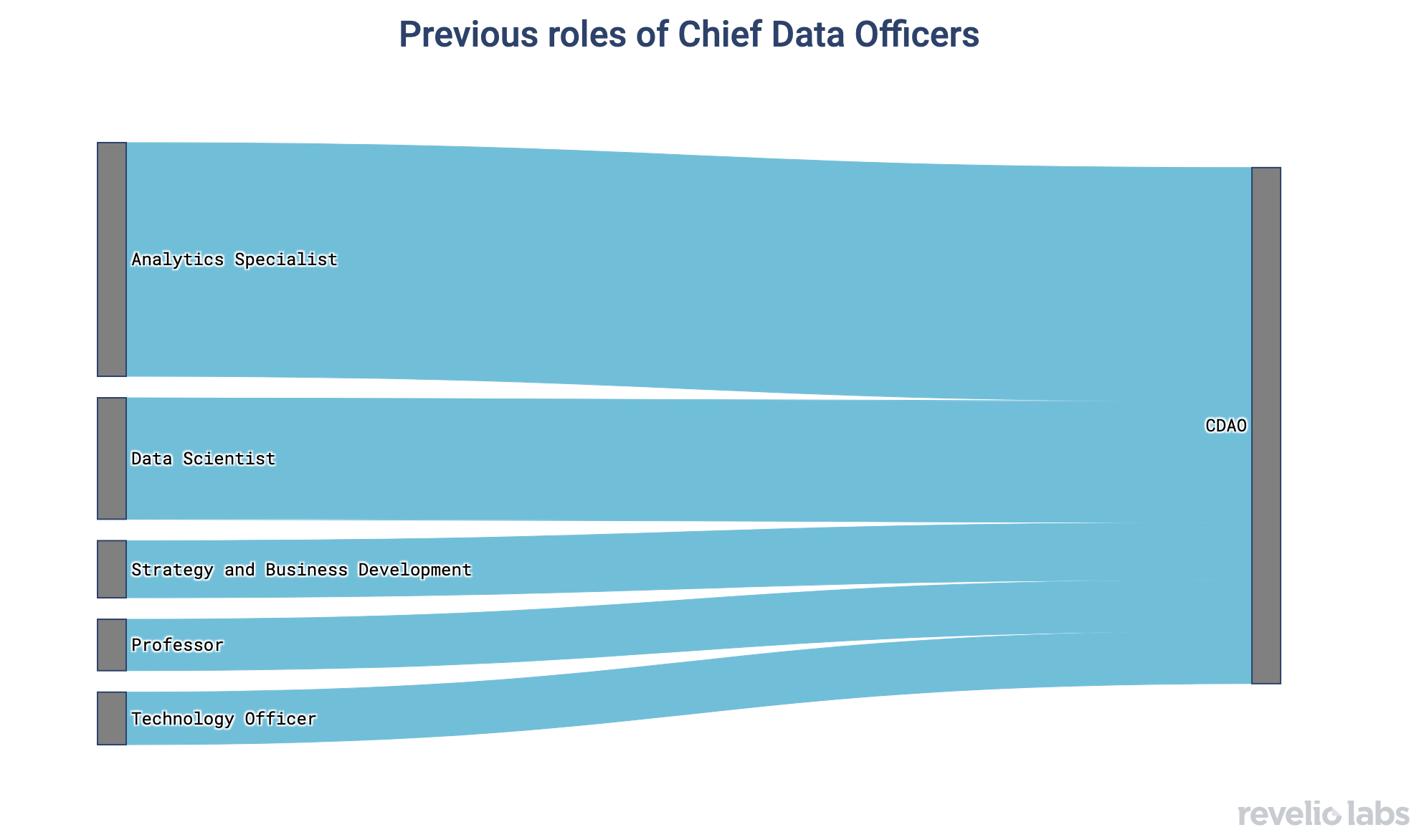 Previous Roles of Chief Data Officers