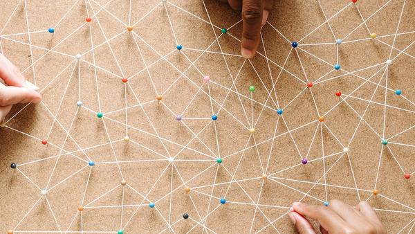 School Ties Can Give Early-Career Workers a Leg Up