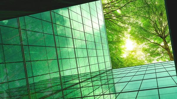 Is the Grass Greener When You Have a Chief Sustainability Officer?