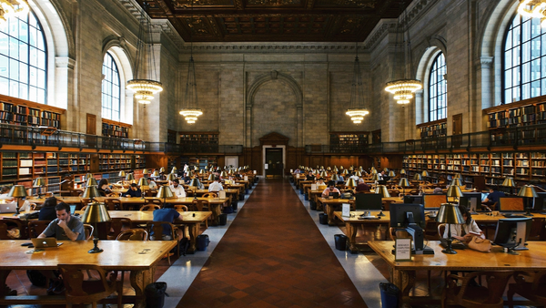 What You Study Matters More Than Where You Study