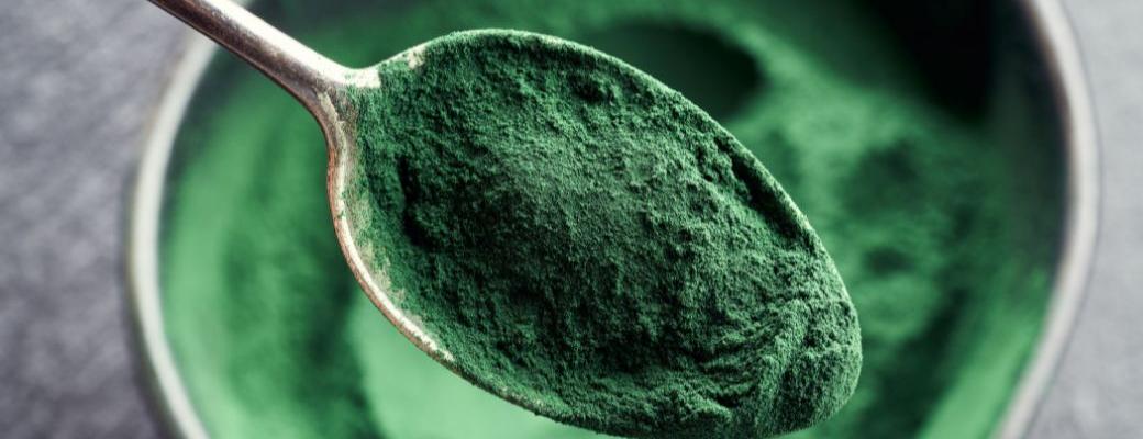 Spirulina Powder Benefits