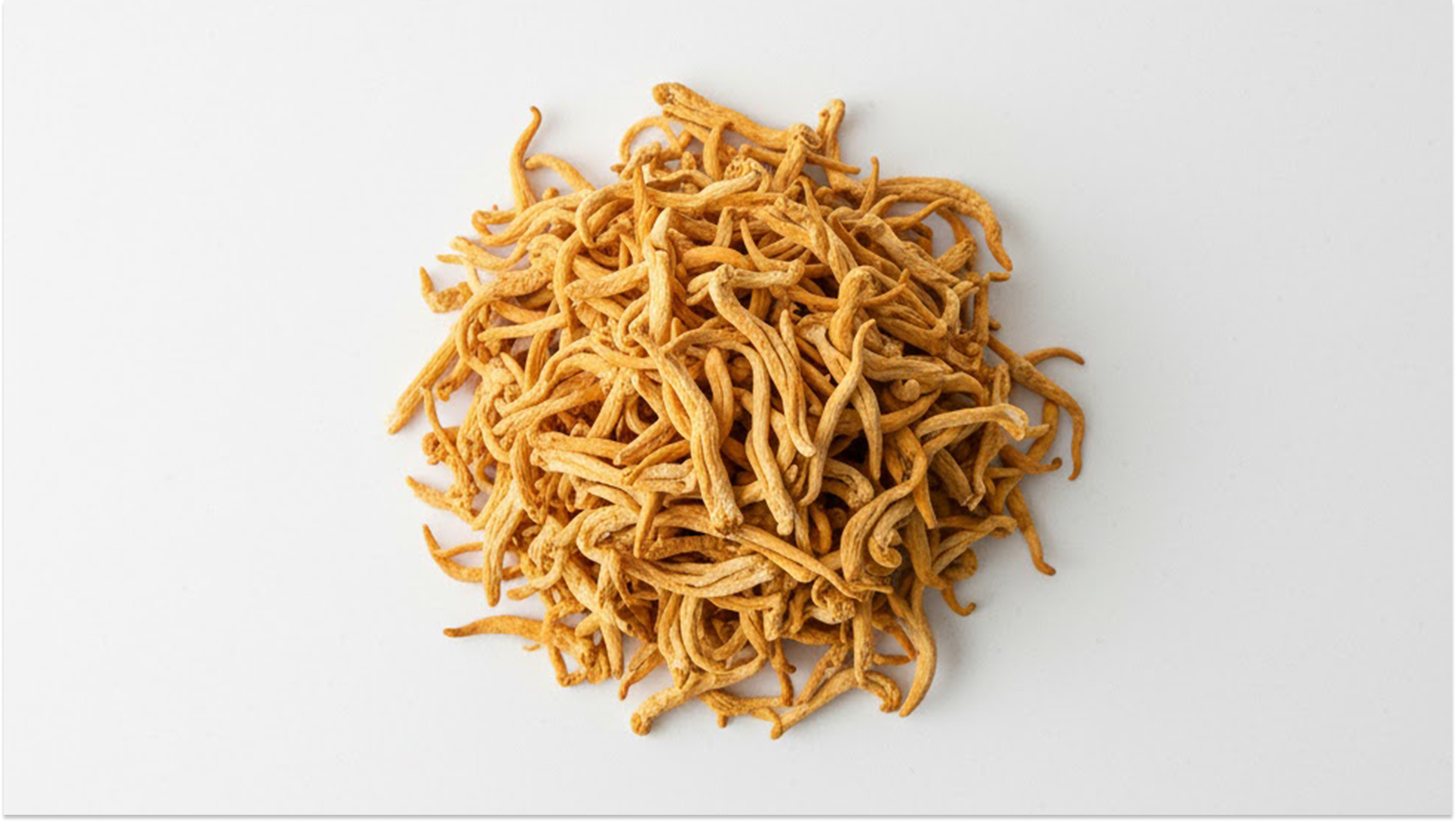 7 Cordyceps Benefits: The Science Behind this Adaptogenic Mushroom