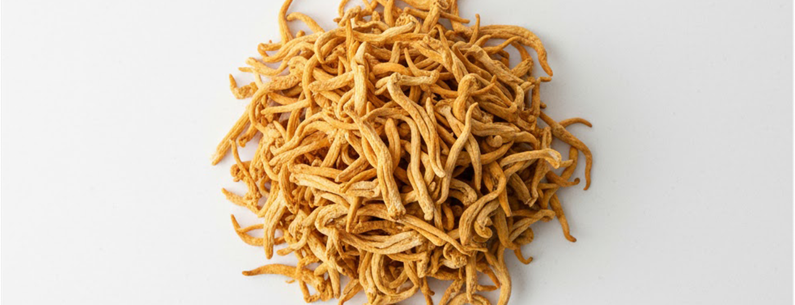 7 Cordyceps Benefits: The Science Behind this Adaptogenic Mushroom