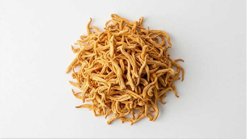 7 Cordyceps Benefits: The Science Behind this Adaptogenic Mushroom