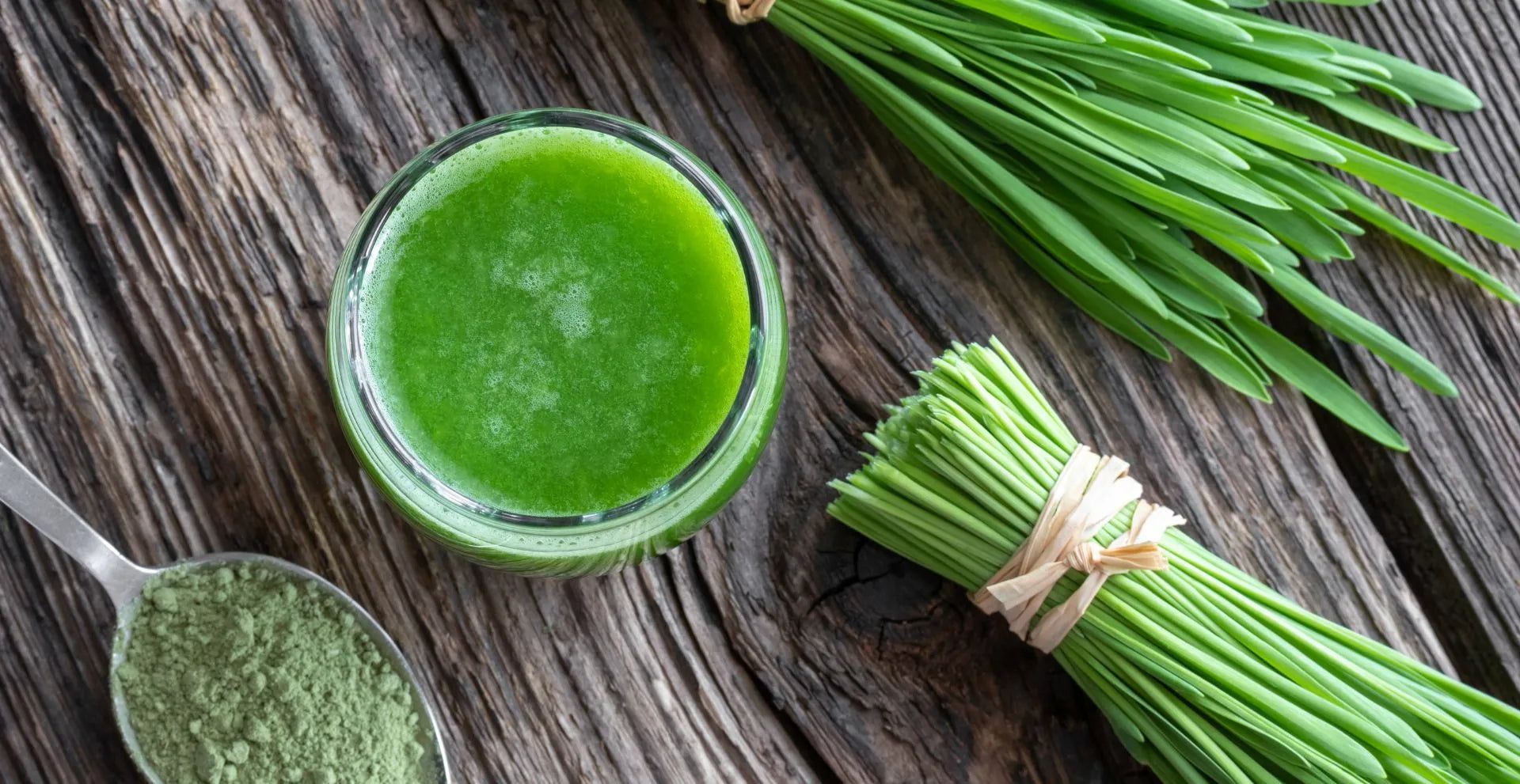 Supercharge Your Well-Being with These Amazing Benefits of Barley Grass Juice Powder