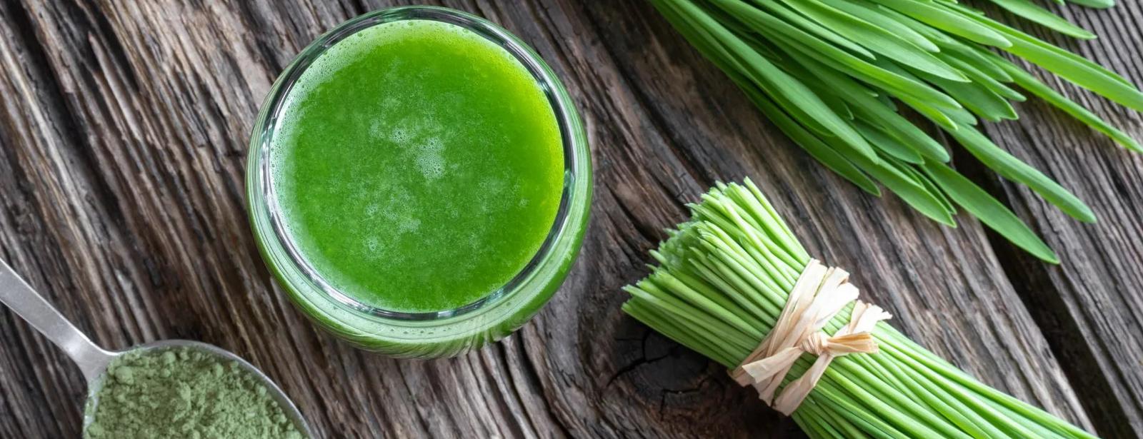 Supercharge Your Well-Being with These Amazing Benefits of Barley Grass Juice Powder