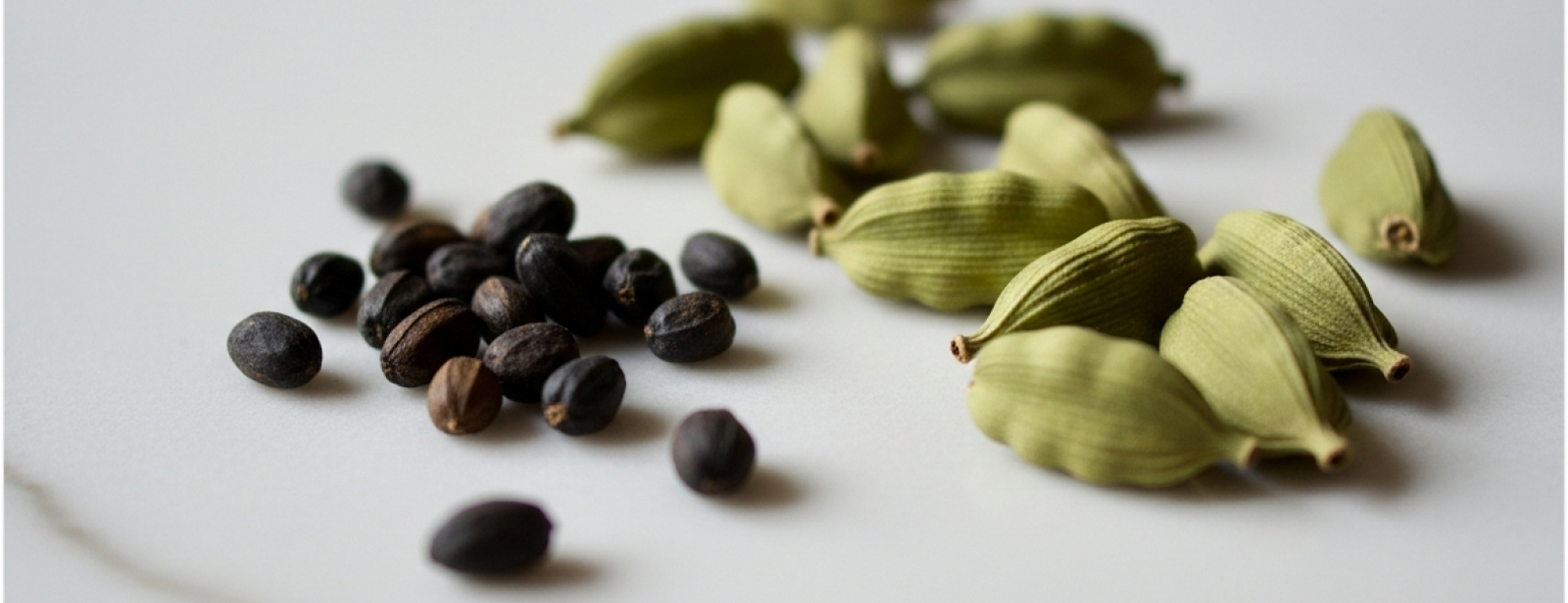7 Cardamom Benefits: Why This Spice Deserves a Spot in Your Pantry