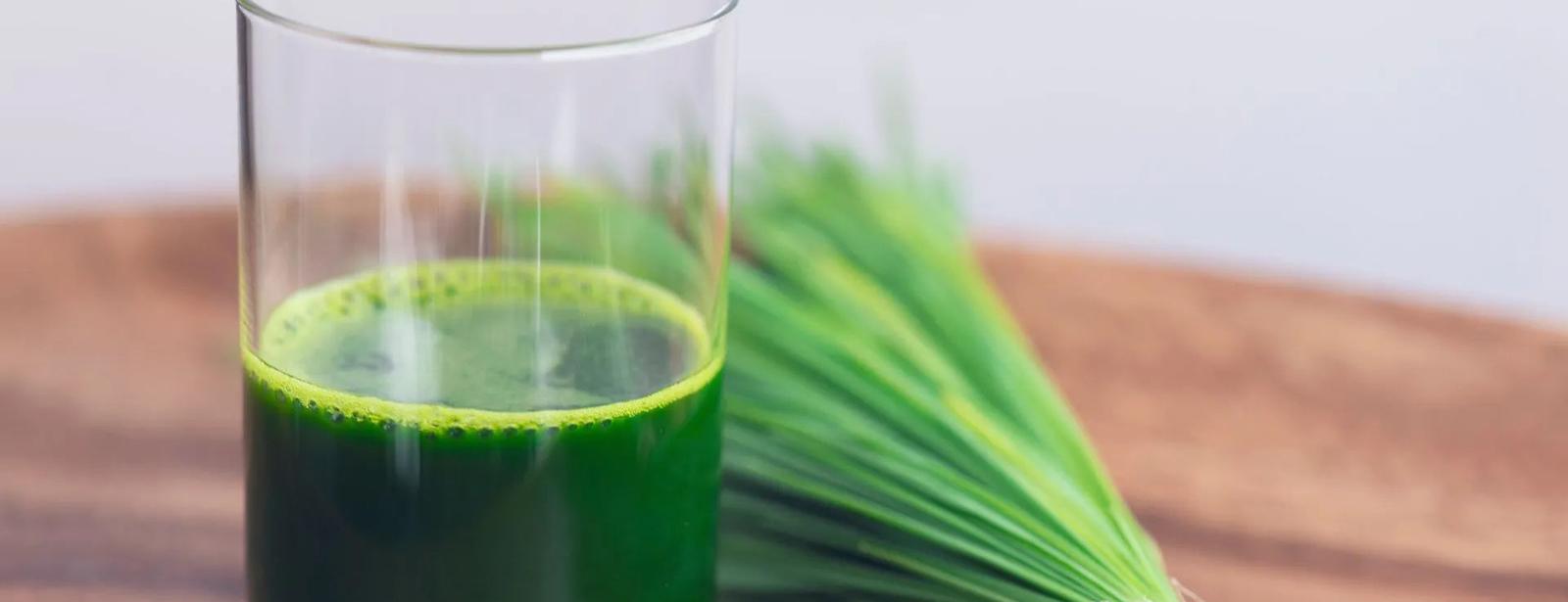 The Top 15 Benefits of Wheatgrass