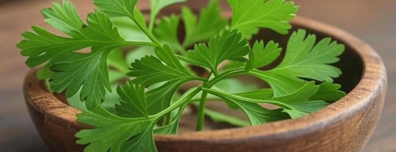 8 Parsley Benefits: How This Herb Supports Health