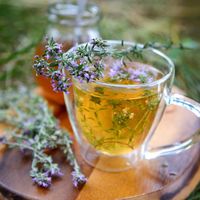 Arabic thyme tea
