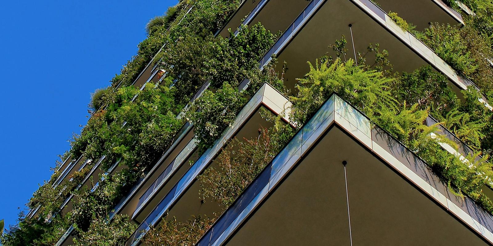 Decarbonizing the built environment