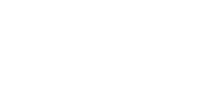 Viz.ai