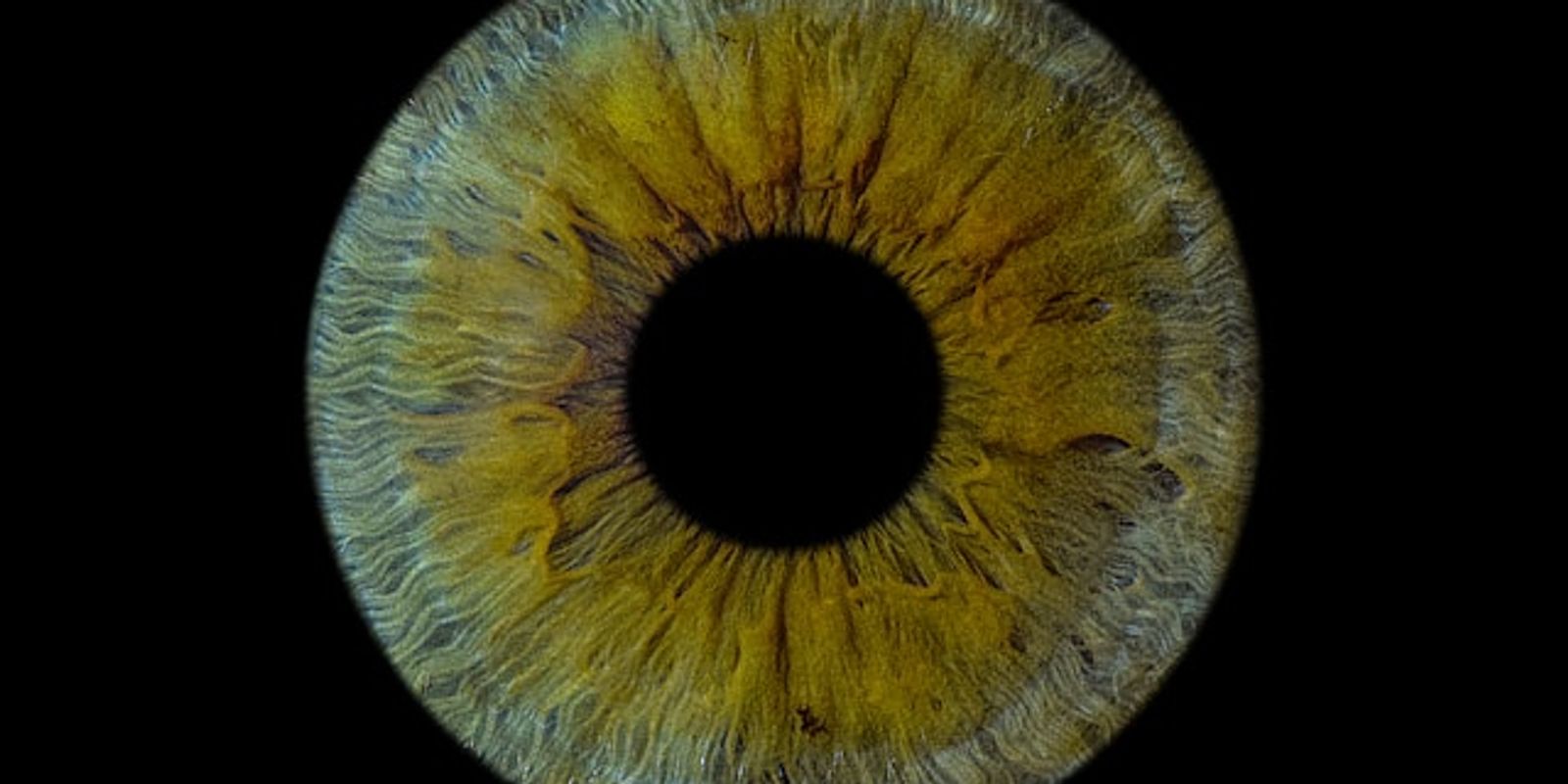 Our investment in Character Bio - deep real-world therapeutic discovery and development