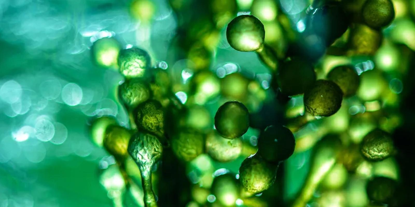 Announcing our investment in Think Bioscience