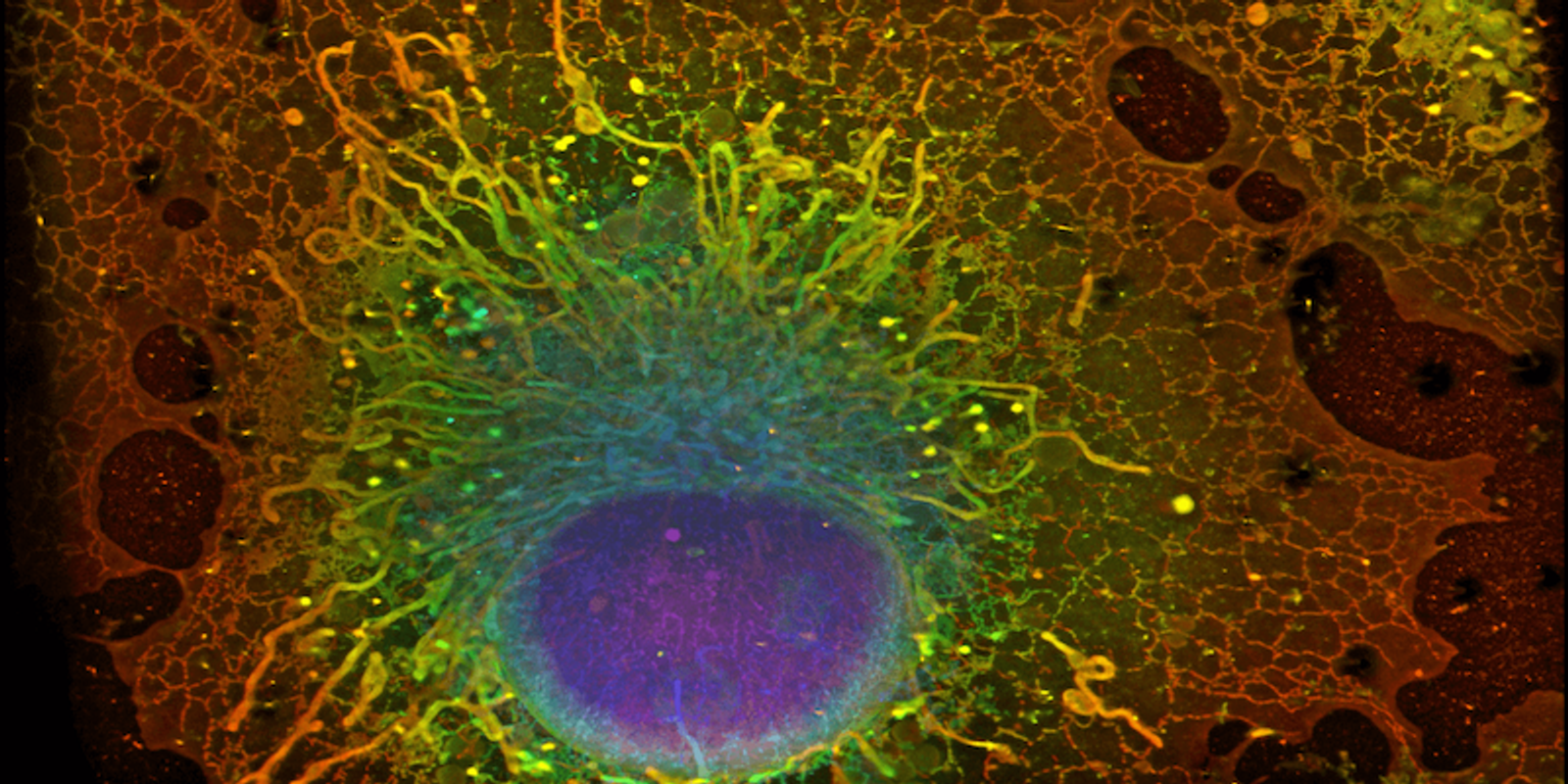 Announcing our investment in Eikon Therapeutics — A new dawn in drug discovery