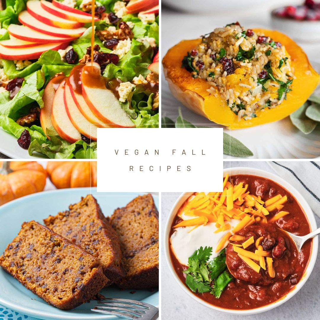 A collage with apple walnut salad, stuffed butternut squash, pumpkin bread, and chili, and the text, "Vegan Fall Recipes."