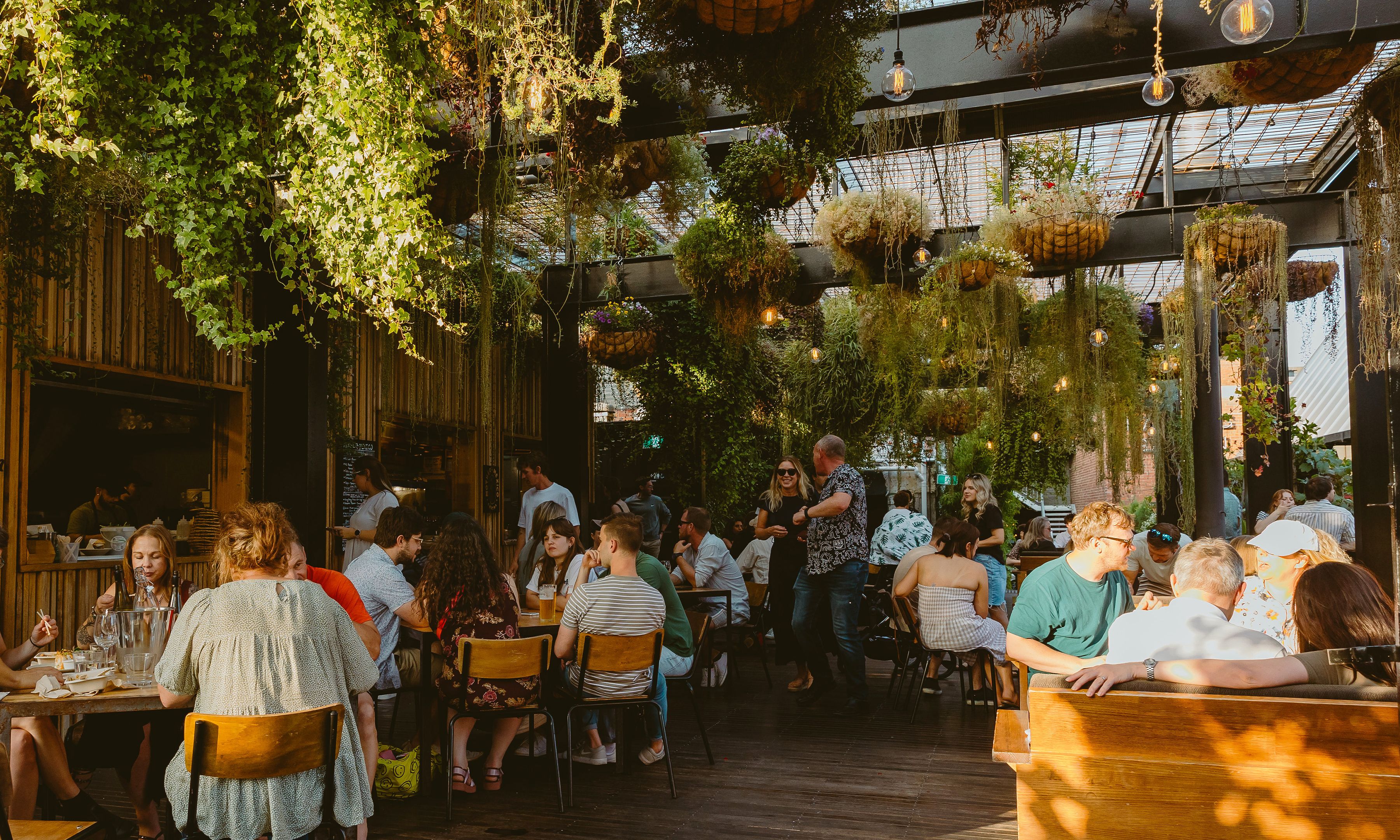 In The Hanging Garden