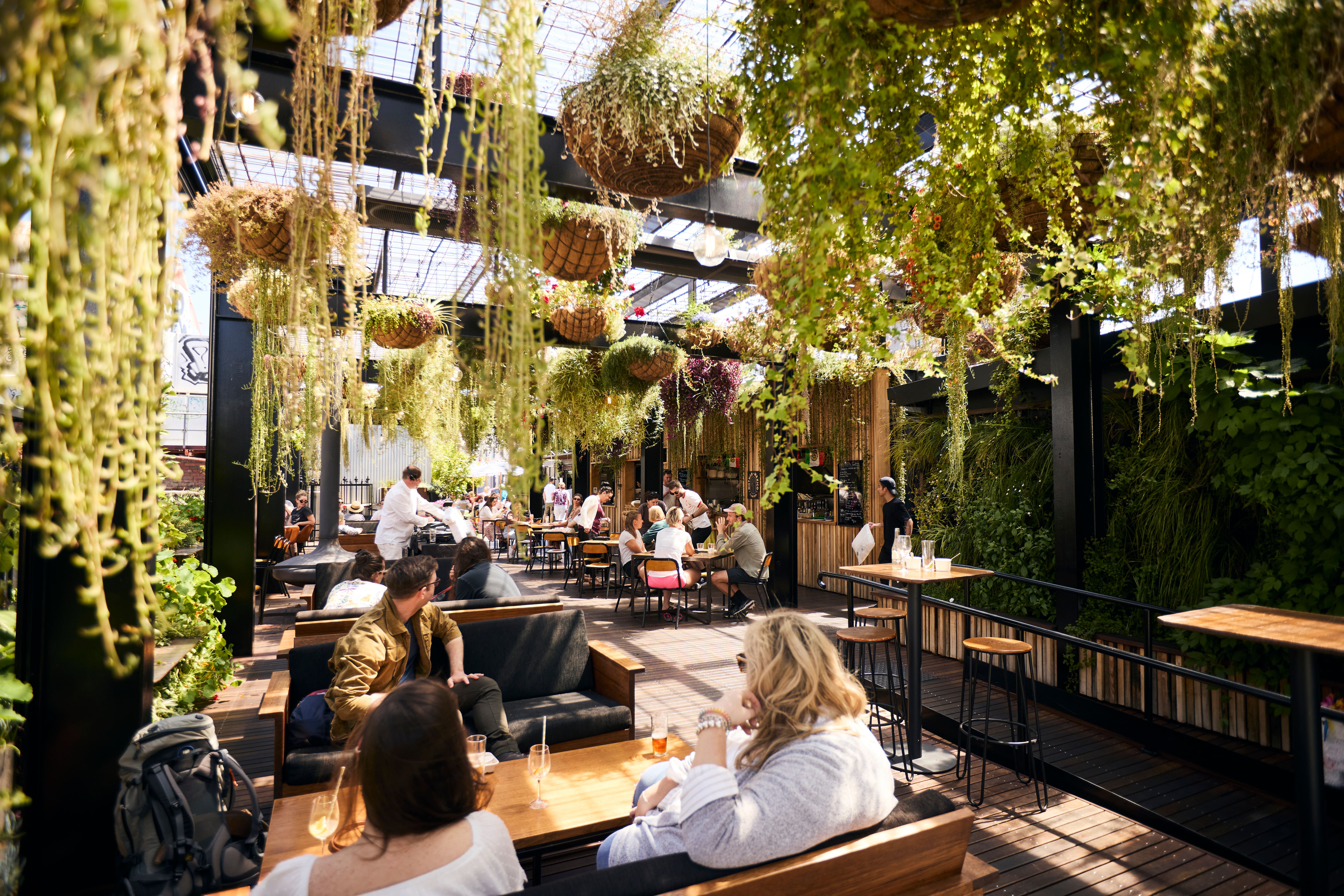 In The Hanging Garden
