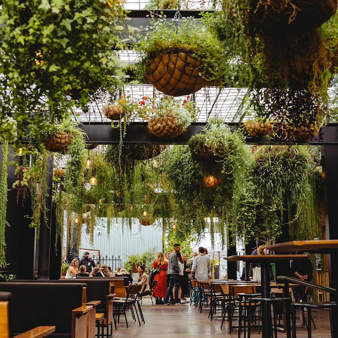 In The Hanging Garden