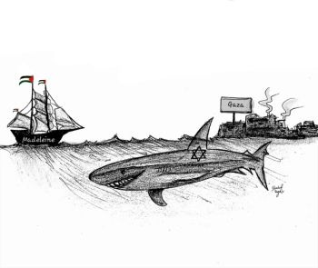 Shahd Rajab 12 image