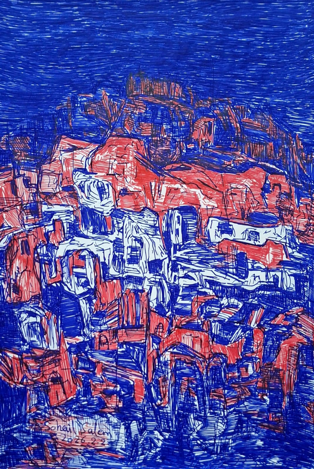 Sohail Salem 15 image