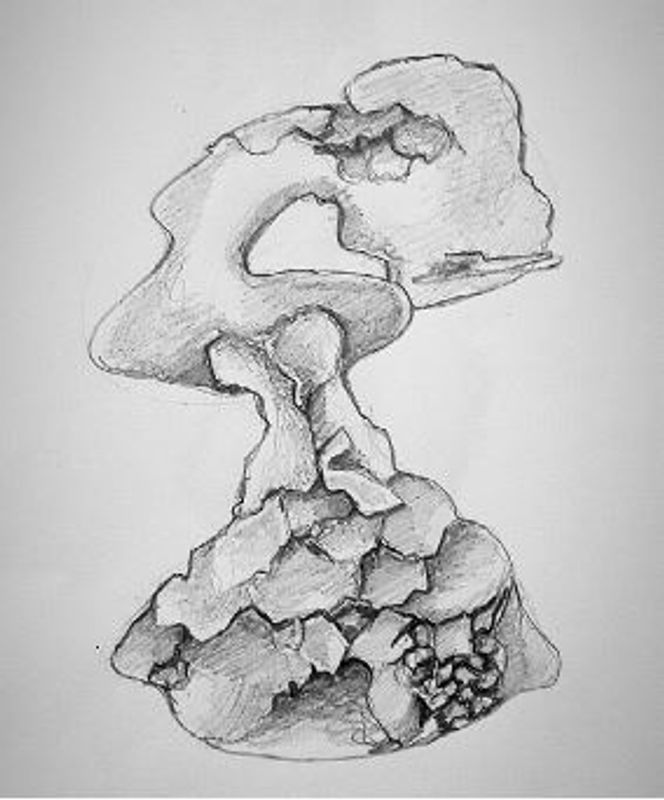Of the Womb of the Breasts VI