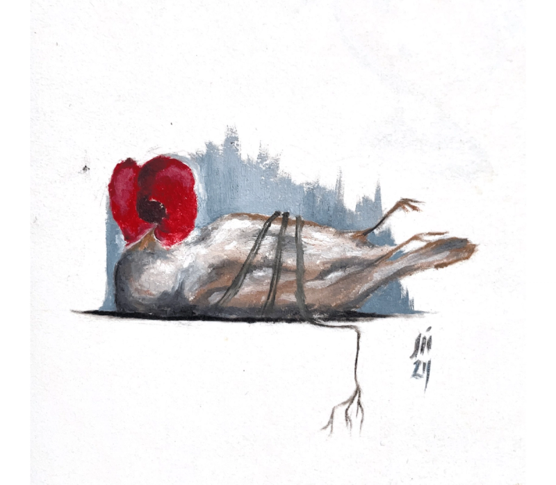 Bird Of Gaza