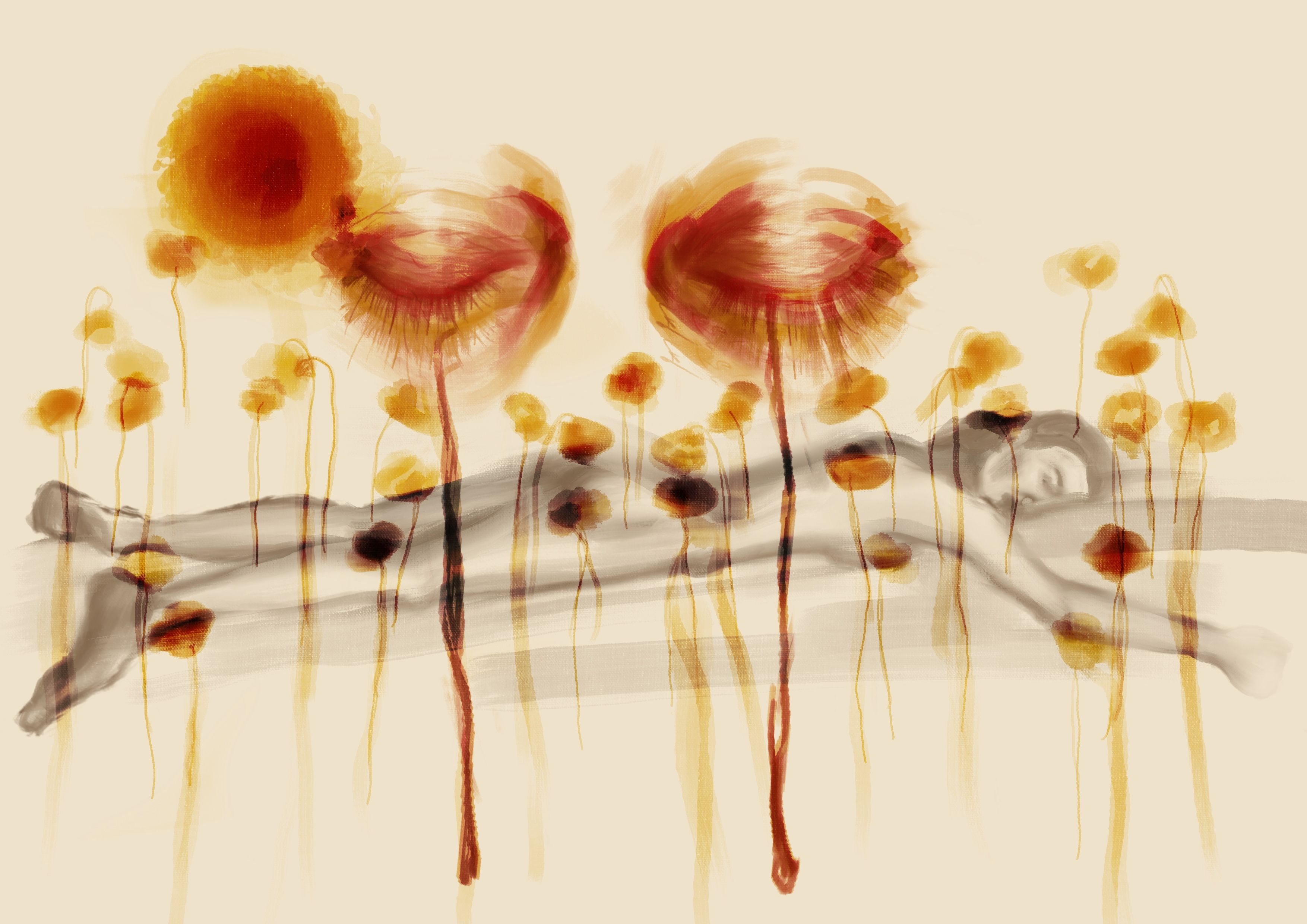 Untitled (NouraAlqasia1)