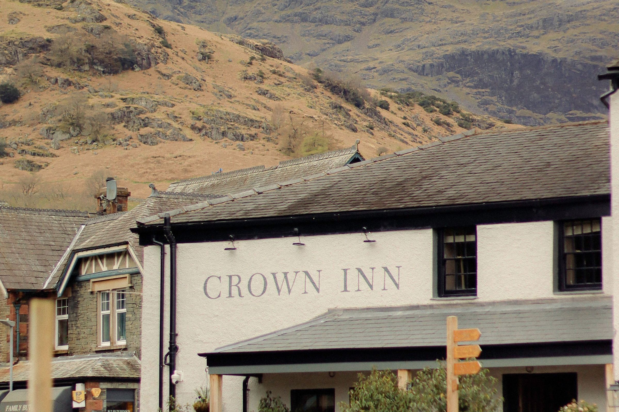 Someone asks for a dog-friendly stay in October. What happens next?