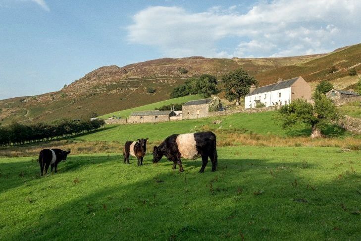Ashness Farm, photo 1