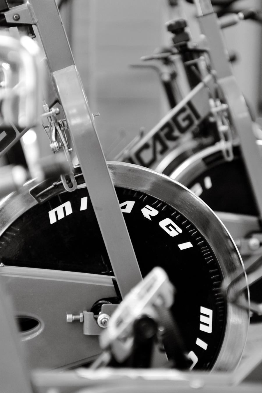 Gym — reel 2