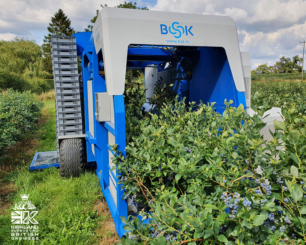 BSK Berry Harvester at Bedstone Growers UK