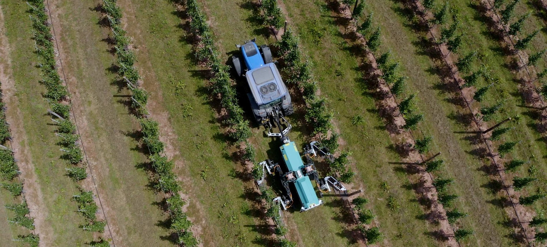 Kirkland UK is the official supplier for RootWave in the UK