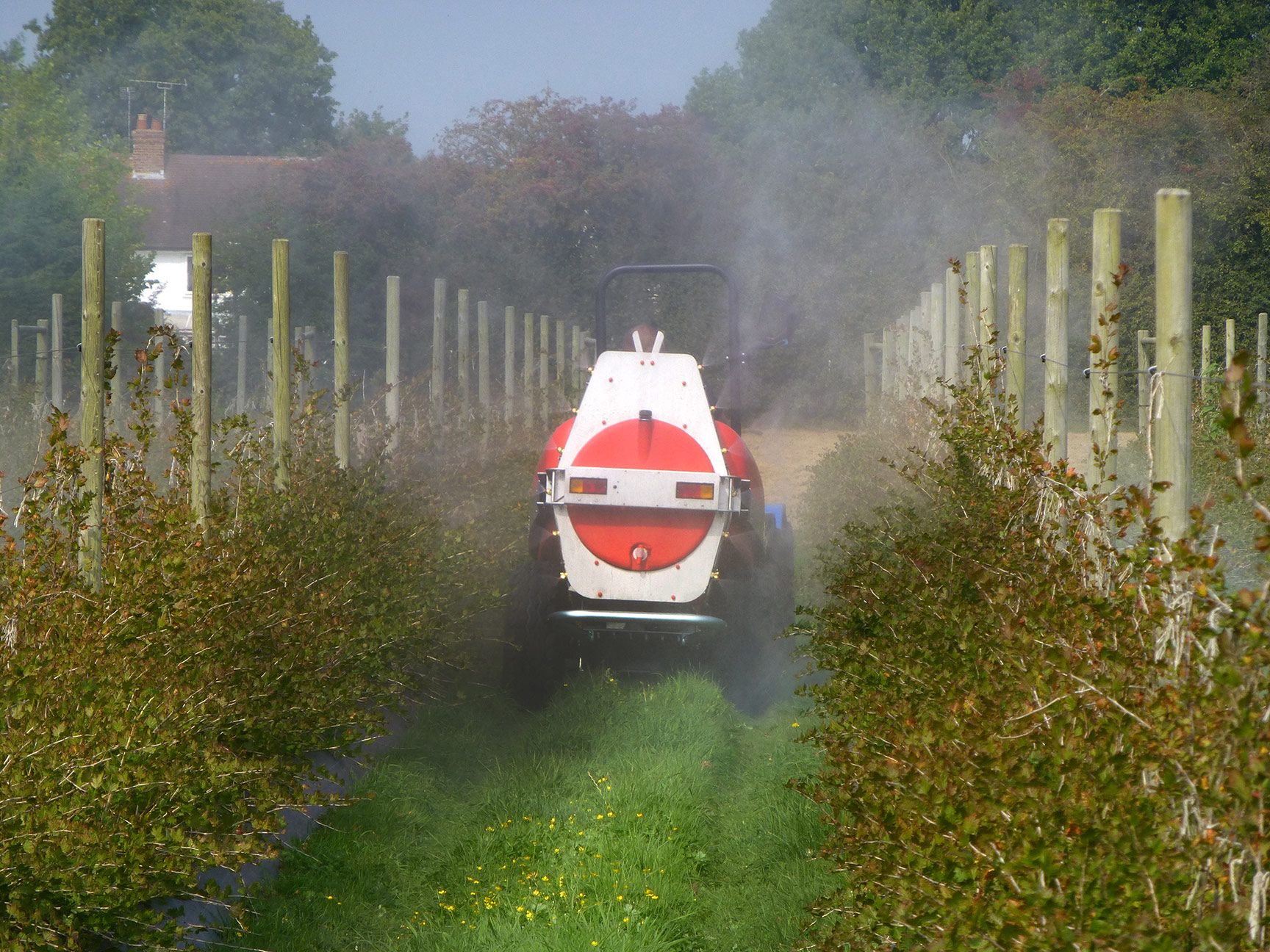 Orvin Baby Compact Sprayer