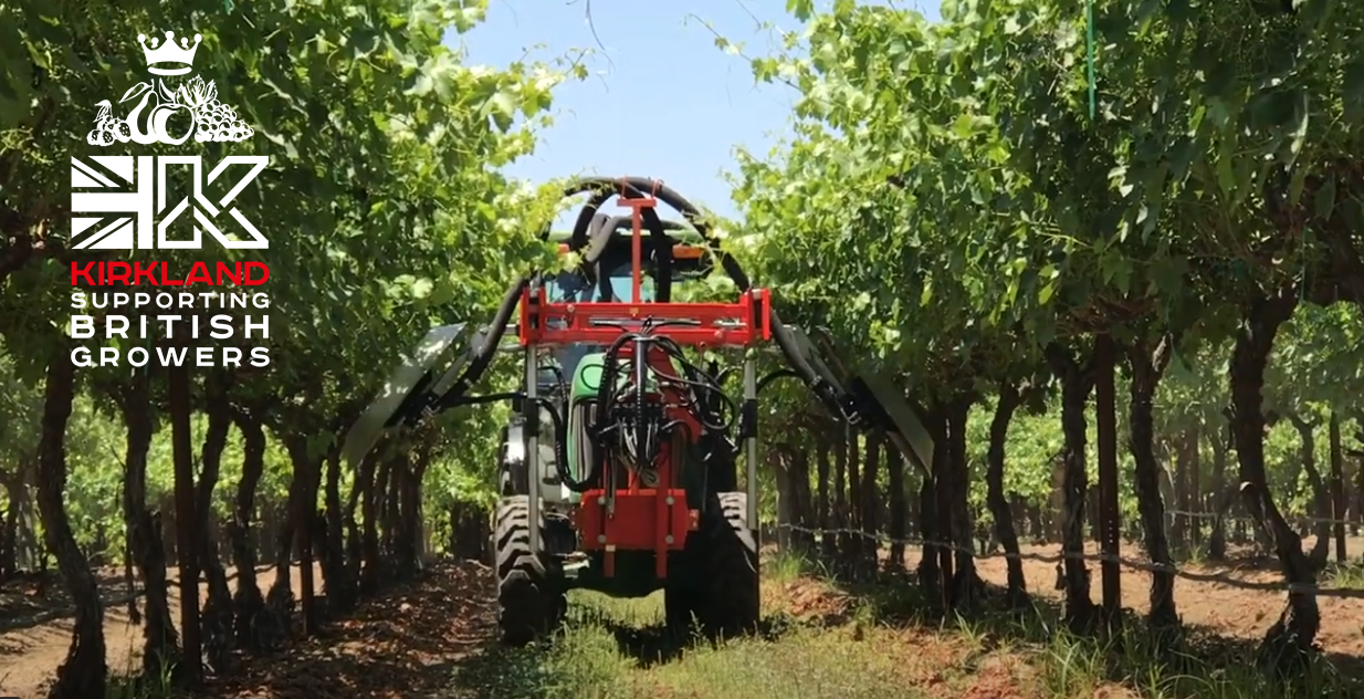 OLMI De-Leafer- try it in your vineyard!