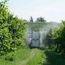 FRIULI DIA 7 Vineyard Trailed Sprayer Kirkland UK
