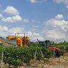 Gregoire Trailed Grape Harvester by Kirkland UK