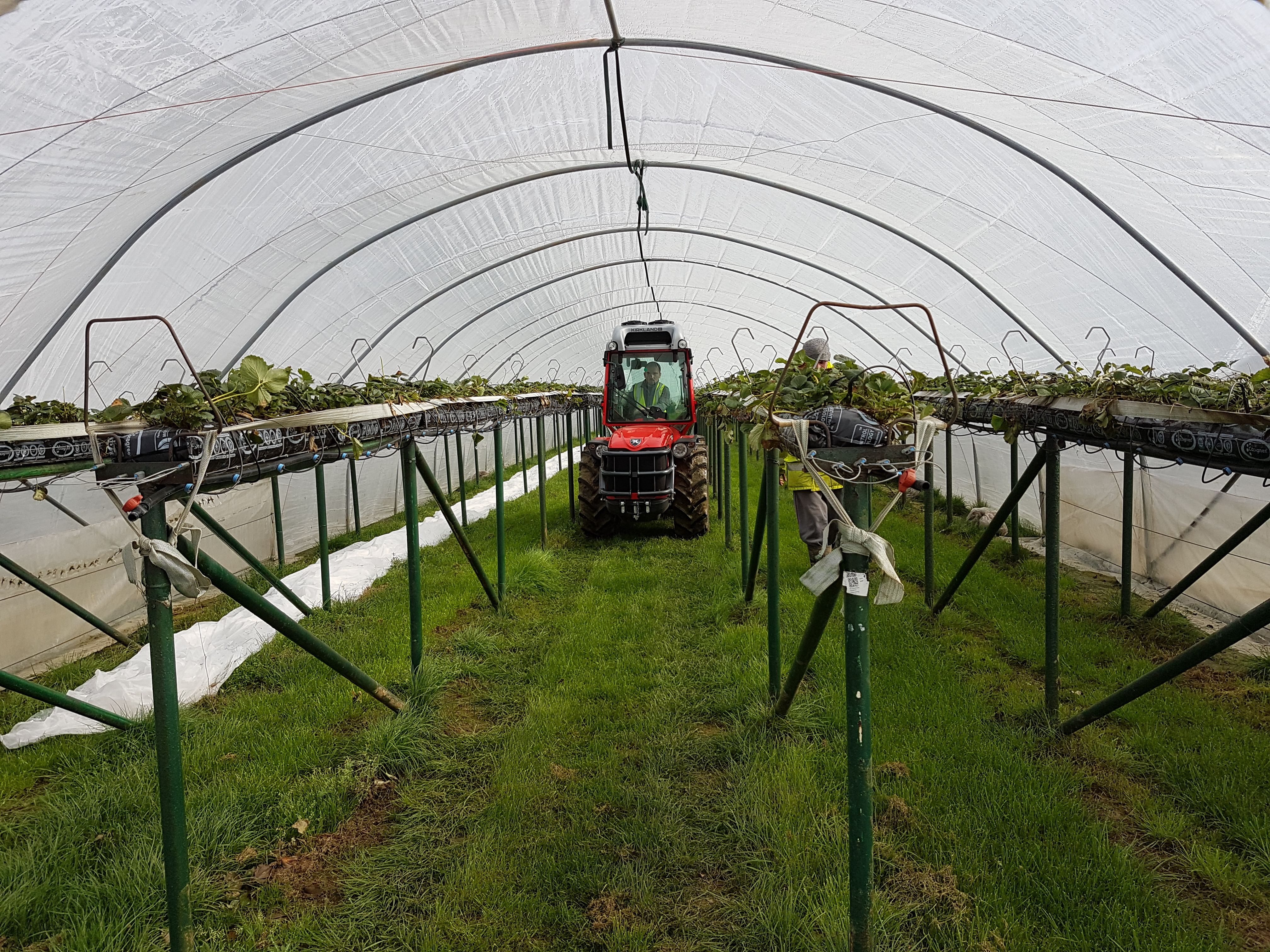 Modified Narrow Tractors for Hall Hunter Partnership